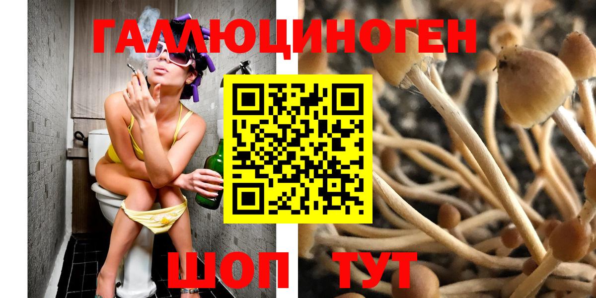 Семёнов  Псилоцибиновые грибы MAGIC MUSHROOMS  Вход с VPN 